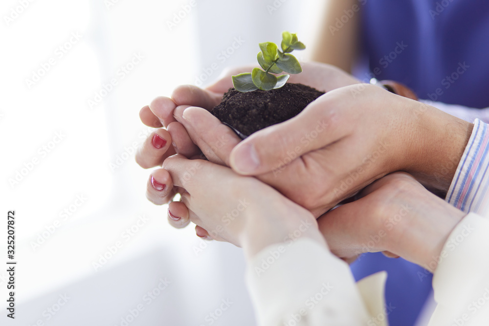Group of business hands holding a fresh young sprout. Symbol of growing and green business Group of business hands holding a fresh young sprout. Symbol of growing and green business