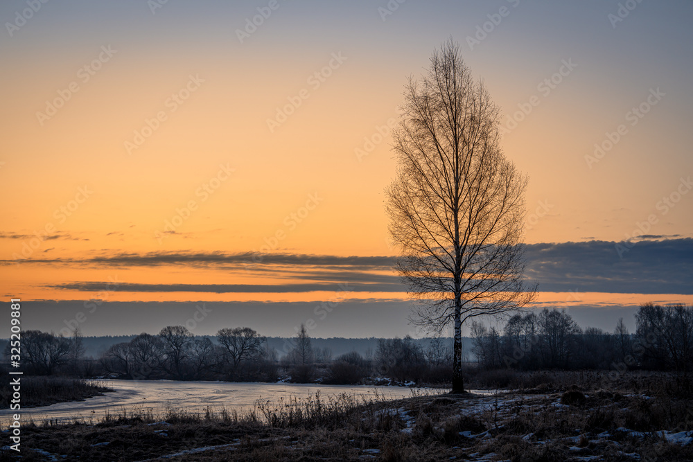 Dusk over the frozen river and birch tree with sunrise sky. Travel destination Russia Dusk over the frozen river and birch tree with sunrise sky. Travel destination Russia