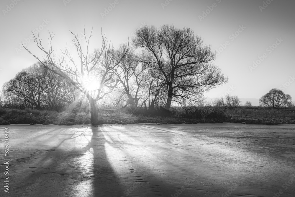 Obraz premium Beautiful winter sunrise over the frozen river and bare trees with azure sky and corpuscular sun rays. Black and white. Travel destination Moscow, Russia