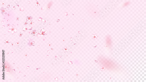 Nice Sakura Blossom Isolated Vector. Summer Showering 3d Petals Wedding Border. Japanese Gradient Flowers Wallpaper. Valentine, Mother's Day Pastel Nice Sakura Blossom Isolated on Rose