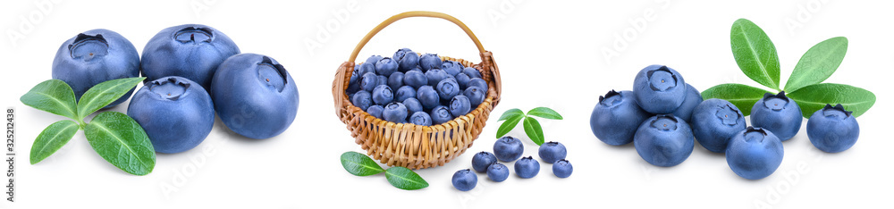 Obraz premium fresh blueberry with leaves isolated on white background closeup. Set or collection