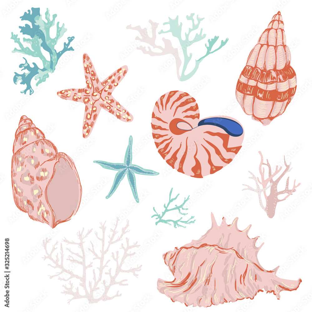 set of sea shells and starfish