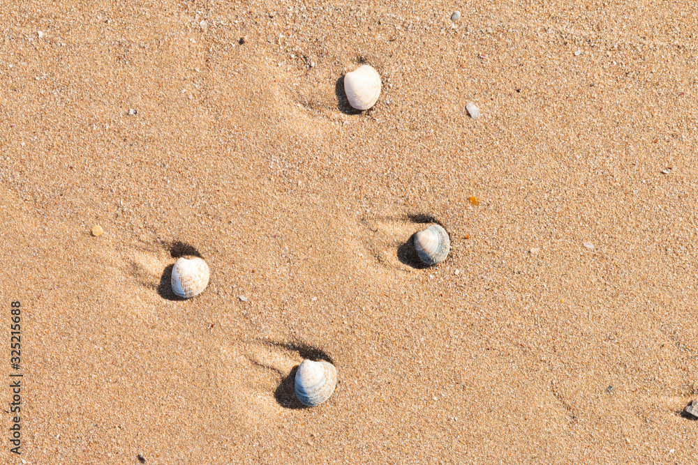 Many kind of the beach in Istanbul,Sile province. Many kind of the beach in Istanbul,Sile province.