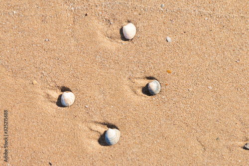 Many kind of the beach in Istanbul,Sile province. 