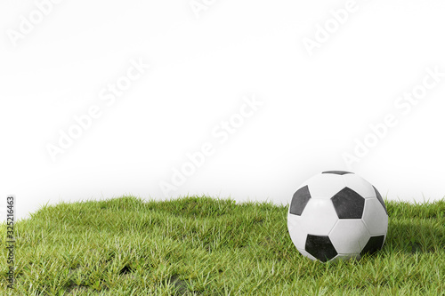 Fussball liegt auf Gras Rasen mit wei  em Hintergrund