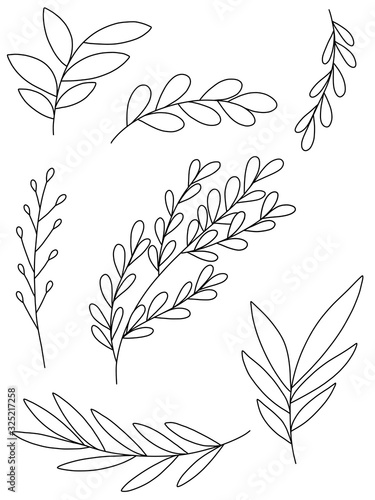 spring plants black/white story sticker