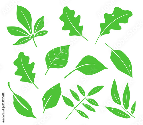 Leaves icon vector. Various shapes of green leaves of trees and plants. Elements for eco and bio logos. Green leaf icons set on white background.