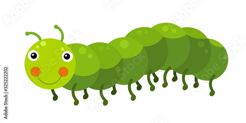 Cartoon animal caterpillar on white background illustration photo