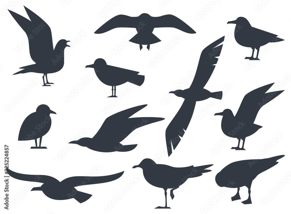 Fototapeta premium Seagull silhouette set isolated on white background vector. Set flying seagull. Black birds on a white background.