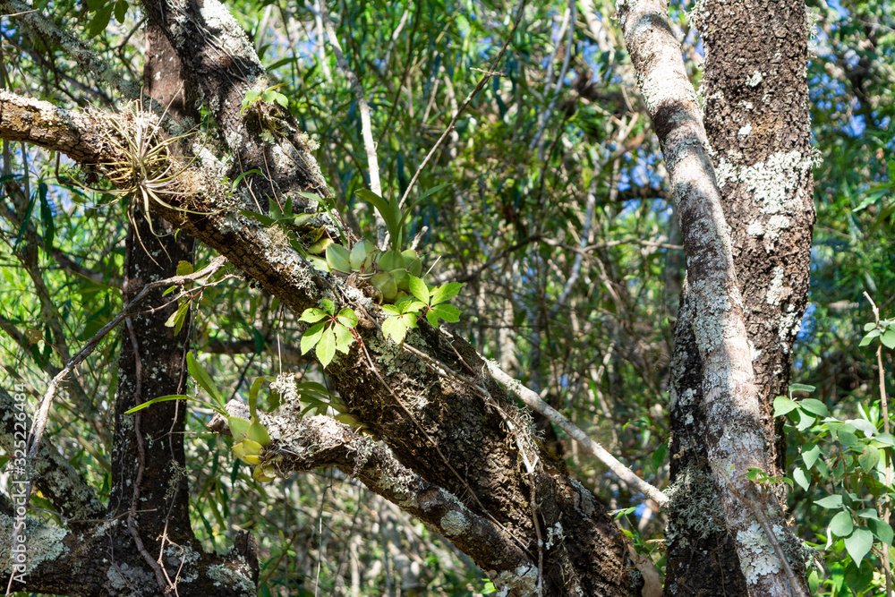 Obraz premium la laguna