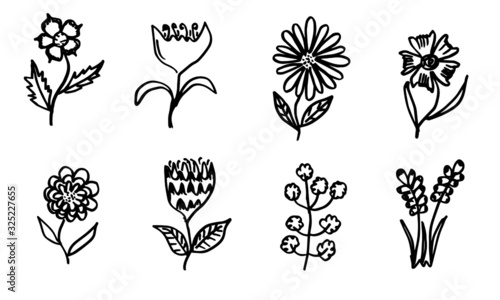 Fototapeta a collection of hand-drawn flower images such as bellflower, chrysanthemums, sunflowers, cotton flowers, and tropical leaves