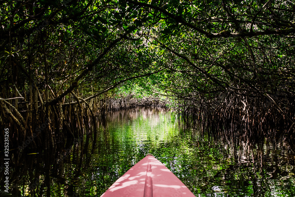 Kajak in der Everglades - Subjektive