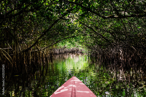 Kajak in der Everglades - Subjektive