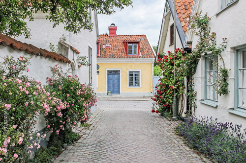Cuadro en lienzo rose alley with old buildings in old town Visby, Sweden