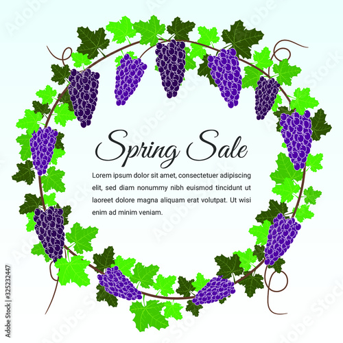 Grape Fruit in spring sale banner