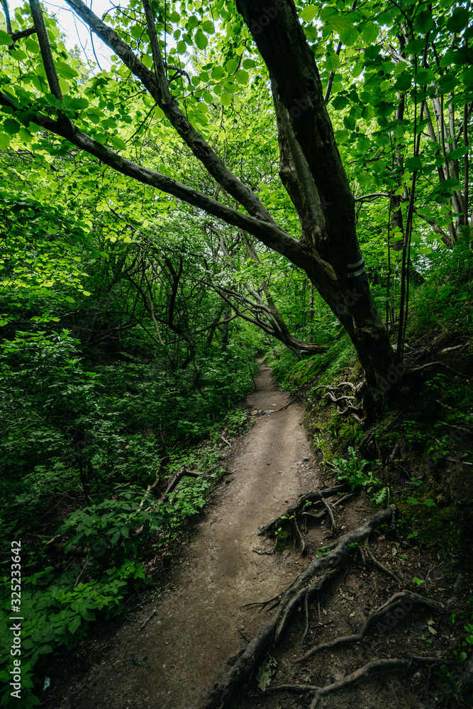 Obraz premium Travel photography of the Baltic sea coastline, near Jastrzebia Gora, Poland.