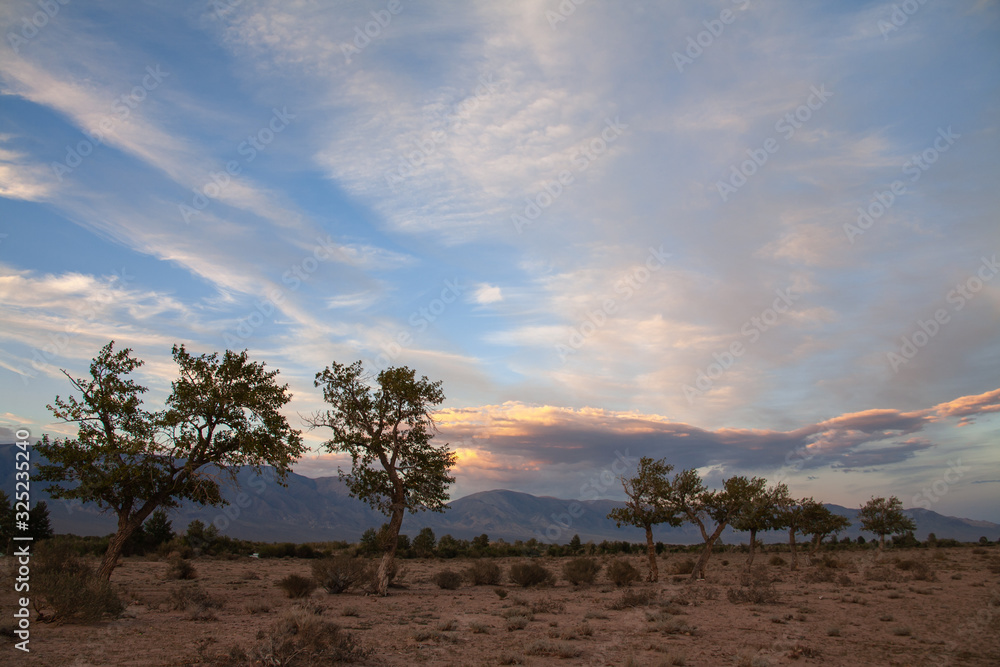 Fototapeta premium The landscape of the mongolian steppe