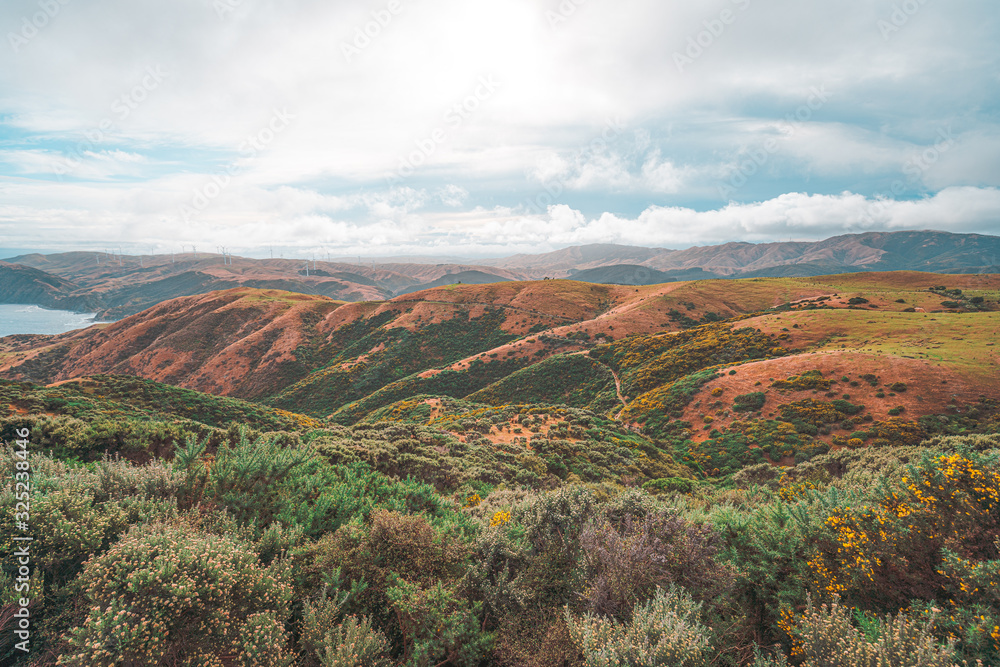 Obraz premium Landscape of Makara Beach in summer, Wellington, New Zealand 