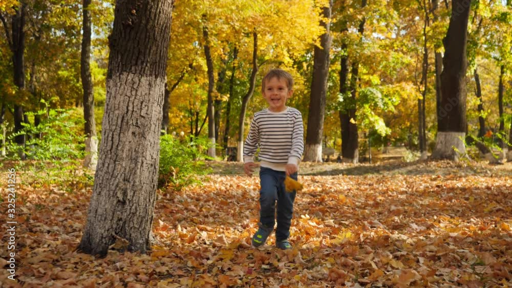 4k video of cheerful smiling 4 years old boy running in autumn park 4k video of cheerful smiling 4 years old boy running in autumn park