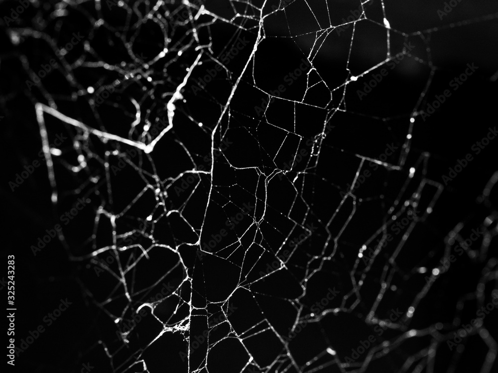 abstract web background