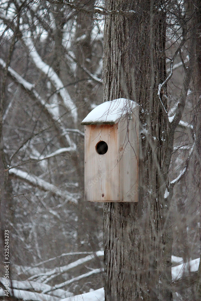 Bird House with Snow on the Roof