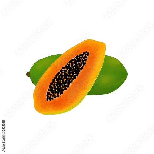 watercolor papaya