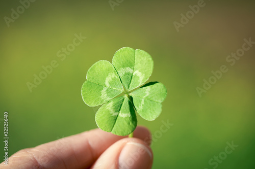 Holding a lucky four leaf clover, good luck shamrock, or lucky charm.