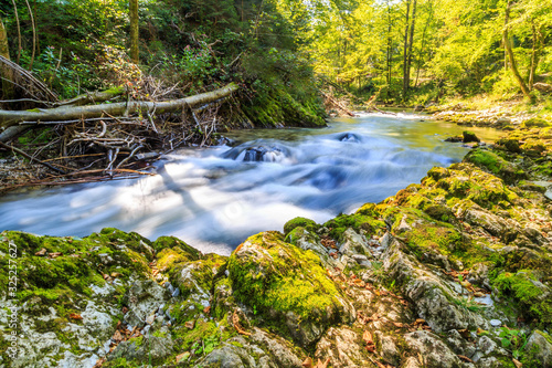 Natural Landscapes in the Forest, River and Waterfall in Vintgar Gorge near Bled Lake, Slovenia