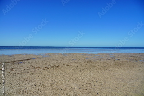 The landscape of Florida palm harbor beach