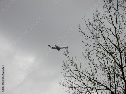 Plane flying over autumn tree with space for text. View of a Airplane Through Tree Branches.