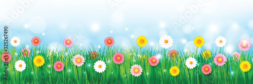 Spring Background 007