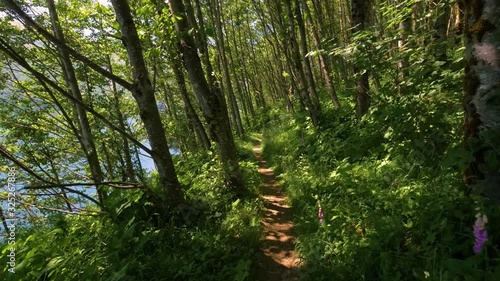 A Long Walking Trail Near The River Surrounded By Grass And Trees On A Sunny Day. -close up shot photo