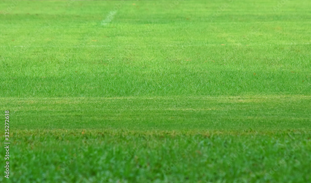 Small mower that keeps mowing football field Small mower that keeps mowing football field