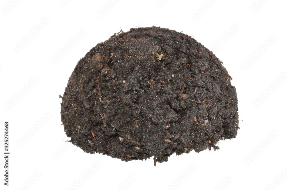 black earth isolated on white background black earth isolated on white background
