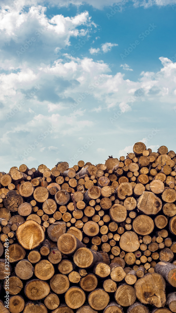 Pile of stacked wood logs with the sky as background.