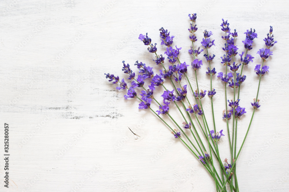 Fototapeta premium Lavender flowers on rustic white wood