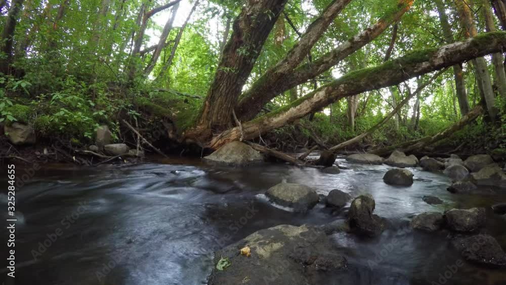 Moving timelapse of small fast trout river Moving timelapse of small fast trout river