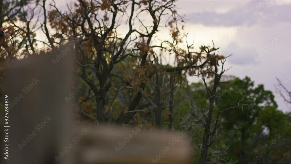 Lovely country western focus pull from a fence post to a sunset. Lovely country western focus pull from a fence post to a sunset.