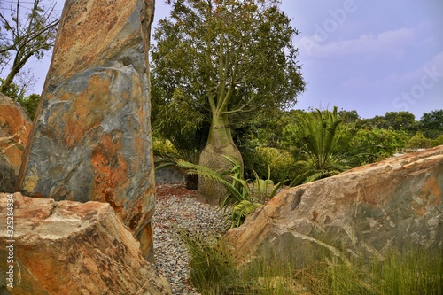 A rocky landscpae in Australia Garden at the Royal Botanic Gardens in Cranbourne, Victoria.