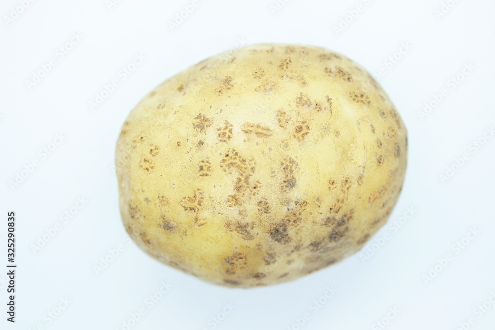 Raw beautiful potato is located on a white background Raw beautiful potato is located on a white background