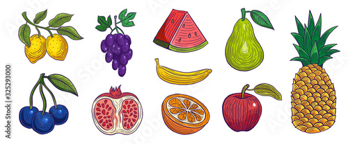 hand drawn set of fruits colored vector