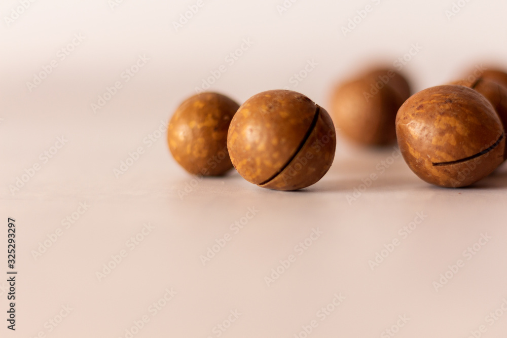 the macadamia nuts, the healthy the macadamia nuts, the healthy