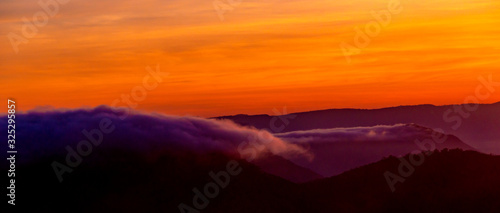 Amazing sunset and sunrise.Panorama silhouette tree in africa with sunset.Tree silhouetted against a setting sun.Dark tree on open field dramatic sunrise.Safari theme.Giraffes African.