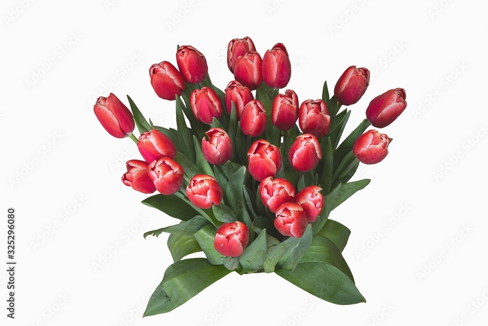 Splendid bouquet of colorful tulips isolated on white background Splendid bouquet of colorful tulips isolated on white background