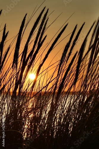 A golden sunset across the ocean at Inverloch beach on the Bass Coast in Gippsland, Victoria, Australia.