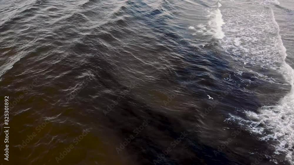 Aerial view of white birds flying over dirty and polluted sea shore in Baltic, Latvia Aerial view of white birds flying over dirty and polluted sea shore in Baltic, Latvia