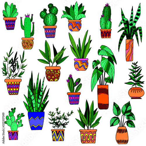vector stock illustration, set of flowerpots in bright colors, isolate on a white background, book ornament