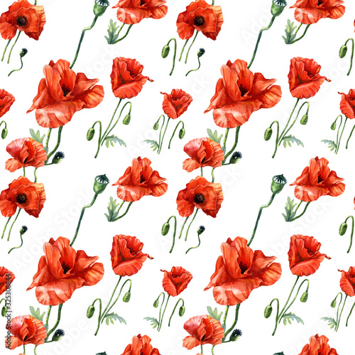 Watercolor seamless pattern of poppies  Botanical illustration.