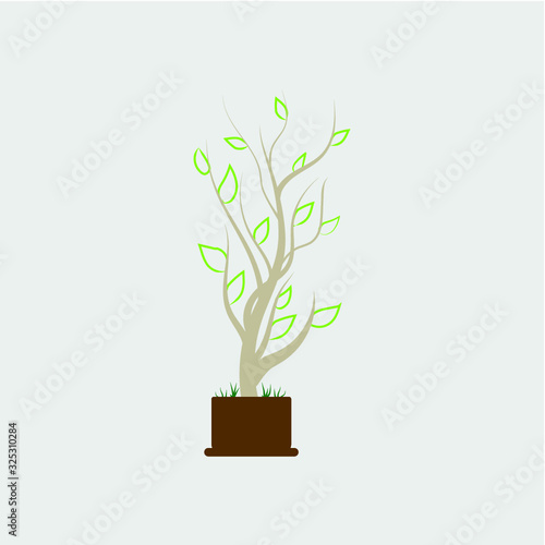 tree icon, vector desing