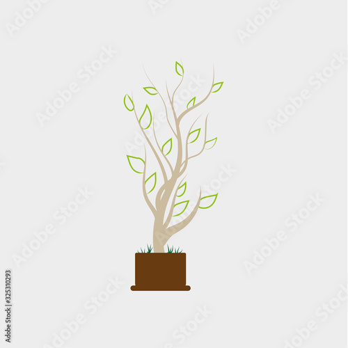 tree icon, vector desing